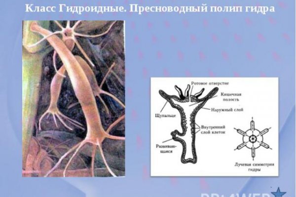 Блэкспрут ссылка на приложение тор